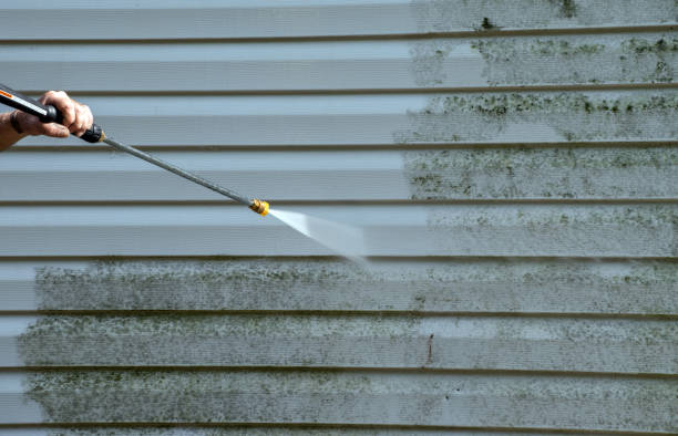 Best House Pressure Washing  in Brownsville, TX