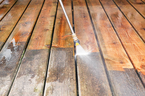 Best Local Pressure Washing Services  in Brownsville, TX