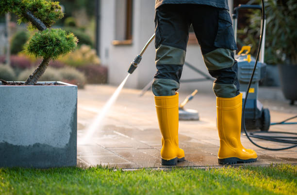 Best Roof Pressure Washing  in Brownsville, TX